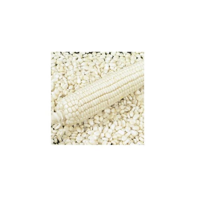 Brazil Maize Export – White & Yellow Corn frozenchickenexports.com – product photo 1, product detail gallery