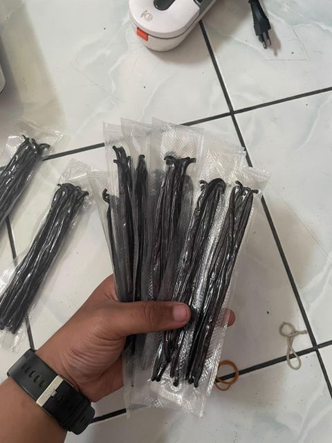 Vanilla Planifolia Grade A – product photo 4, product detail gallery