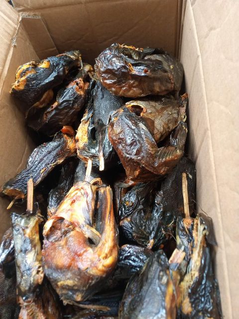 Dried catfish - Image 1