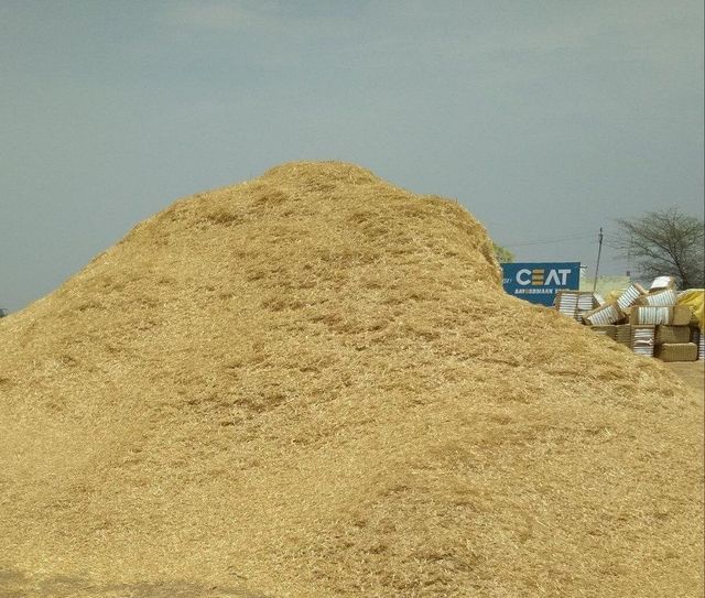 Cow dung products fertilizer wheat straw Minimum Order Quantity 1000 - Image 1