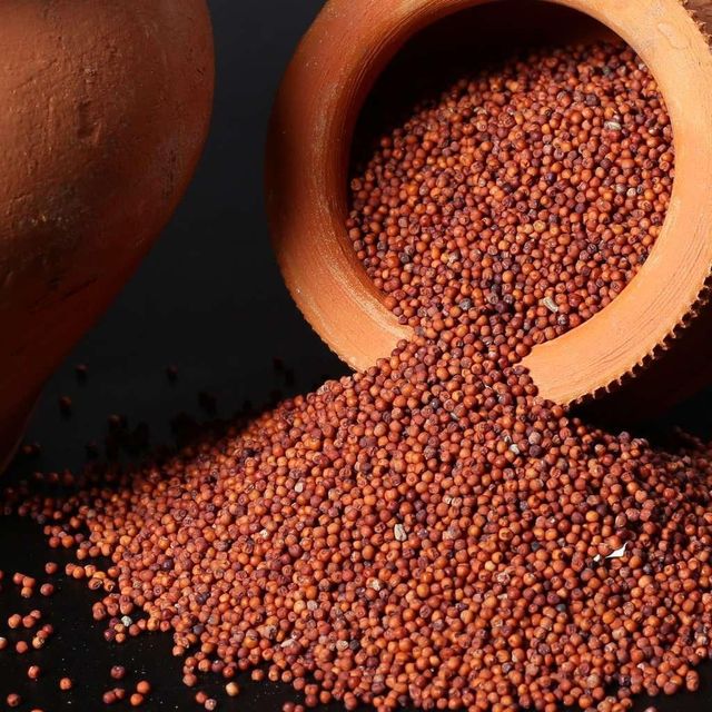 Efficient finger millet bulk order natural ragi fast delivery - Image 3
