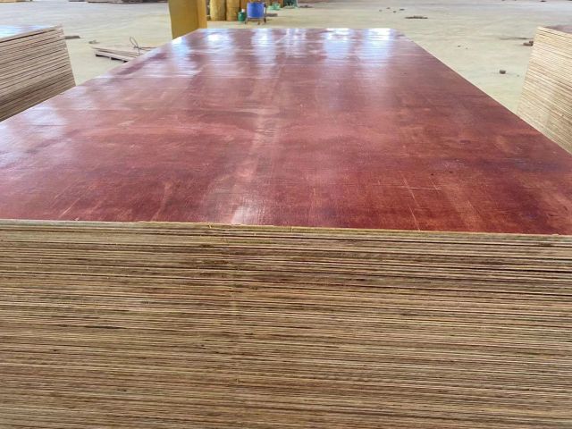 Eucalyptus plywood for packaging - Image 1