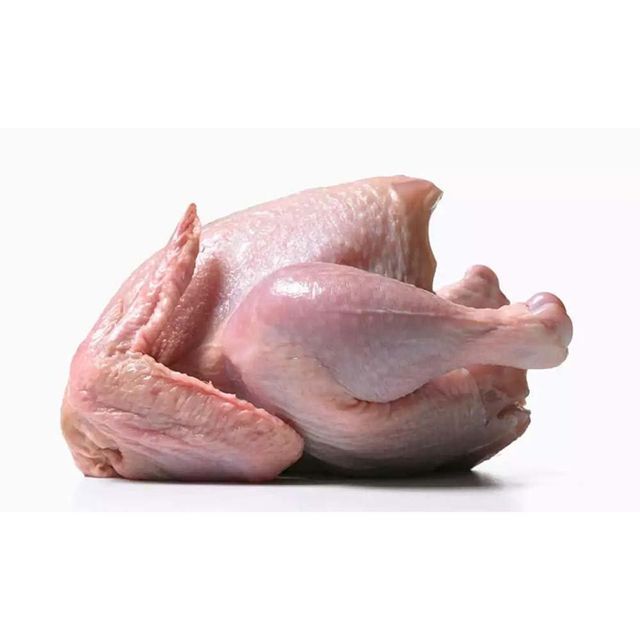 Premium Supplier Halal Frozen Whole Chicken Halal Chicken Processed Meat Whole Chicken And Chicken Parts - Image 3
