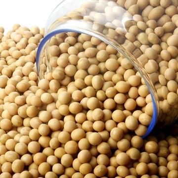 Hot Sale Bulk Yellow Soybeans for Sale - Image 2