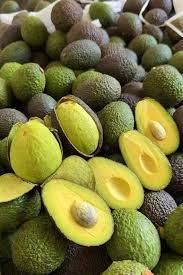 Fresh Avocado / Hass Avocado/Fuerte Avocado Fruit Grade AA Fat Content 26% Origin Thailand Texture Buttery Protein conte - Image 4