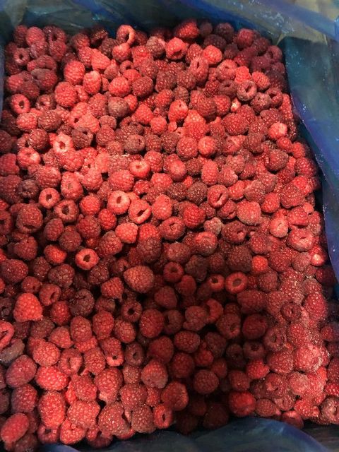 IQF FROZEN RASPBERRIES - Image 3
