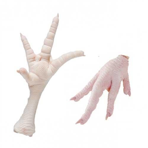 Grade a Halal Frozen Chicken Feet, Paws - Image 4