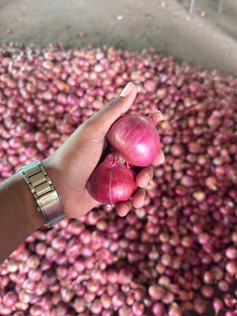 fresh red onion - Image 2