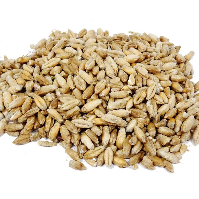 Premium Dried AD Wheat Grain Organic 25-50 Kg PP Bag Packaging 24 Months Shelf Life - Image 3