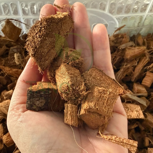 Coco Chips - Image 1