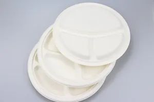 Disposable Bagasse Plate Biodegradable Compostable Sugarcane Tableware Plate - Image 1