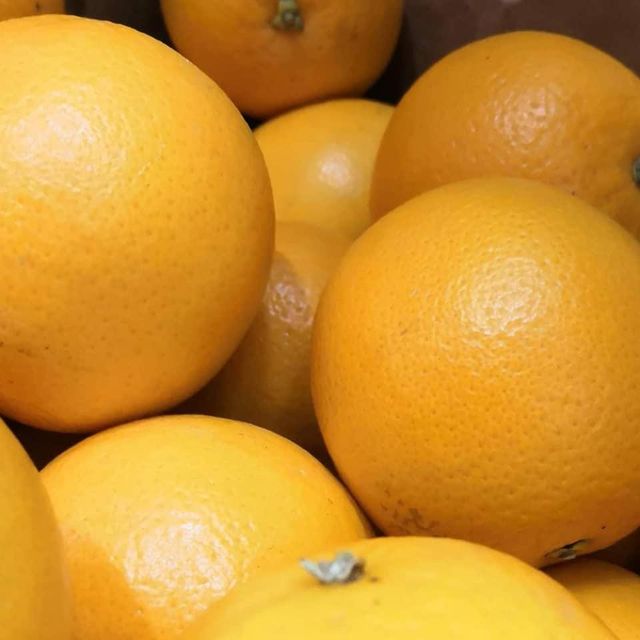 Class 1 Quality Valencia Orange Available - Image 4