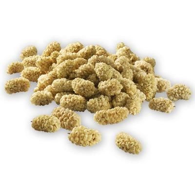 Dried White Mulberry - Image 1