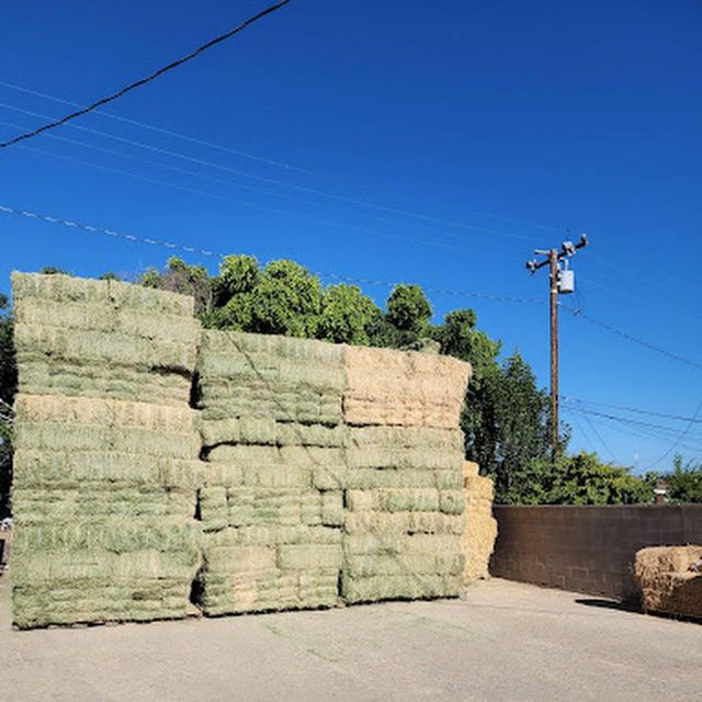 Green Alfalfa Hay Fresh And Nutritious Alfalfa Hay Supplied In Bulk Quantities For Easy Transport - Image 3