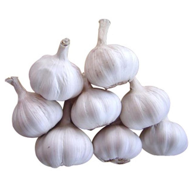 Fresh Garlic Premium Selection Fresh Garlic Packed Safely With Excellent Quality And Aroma - Image 3