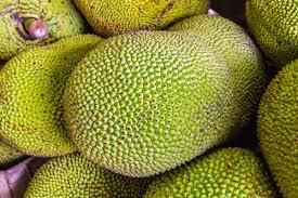 Fresh Jackfruit – Nutrient-Rich Tropical Fruit | Sweet & Versatile Superfood for wholesale and retail - Image 3
