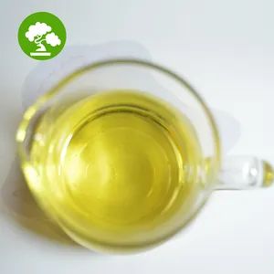 Cloves Oil Natural Organic Pure Clove Essential Oil - Image 3
