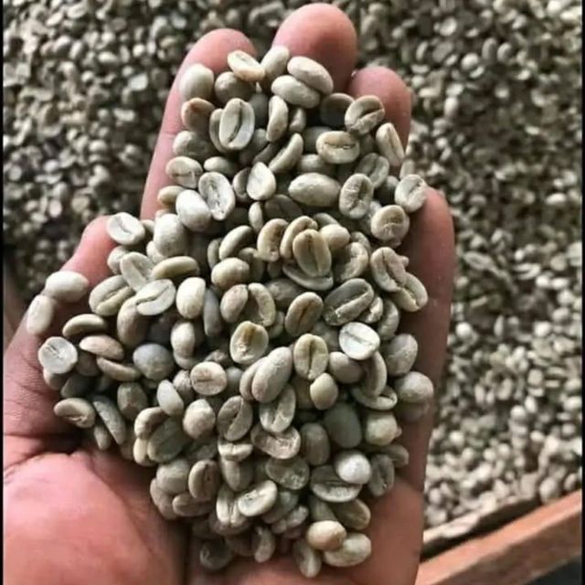 Wholesale and retail organic premium arabica coffee beans Type Washed Origin Tanzania Max. Moisture (%) >8% Species Coffee Arabica - Image 2