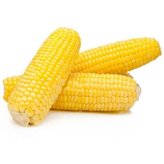 Top Quality Wholesale Price Yellow Corn High Quality Yellow Maize Corn for Animal Feed Supplier - Image 4