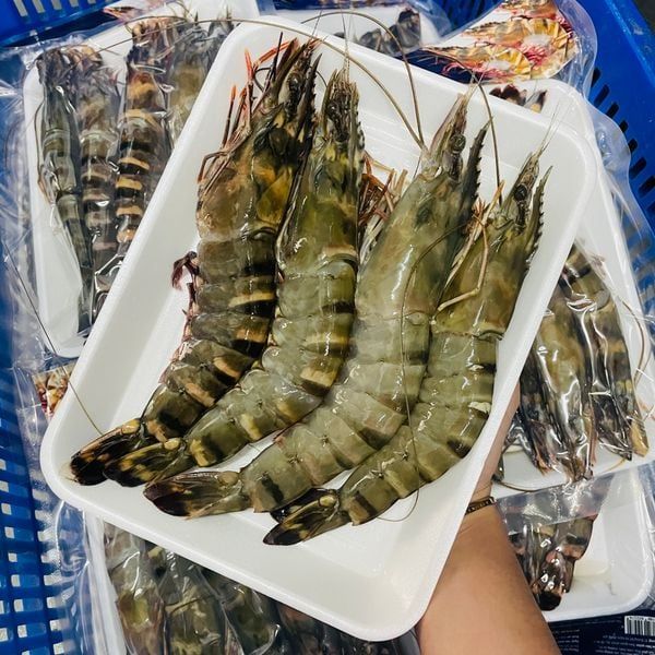 Tiger Prawn Size 8-10 Pieces - Image 5