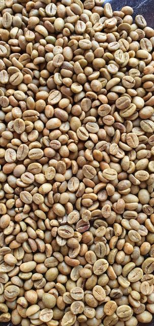 Wholesale Coffee Beans Grade 1 - 3 Arabica and Robusta Green Beans Origin East Java and Central Java - Image 1