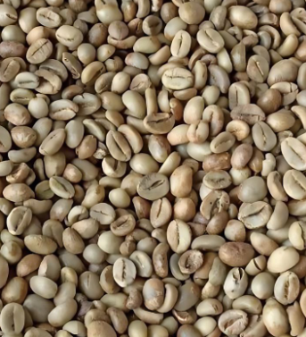 Indonesian Robusta Green Beans - Image 1