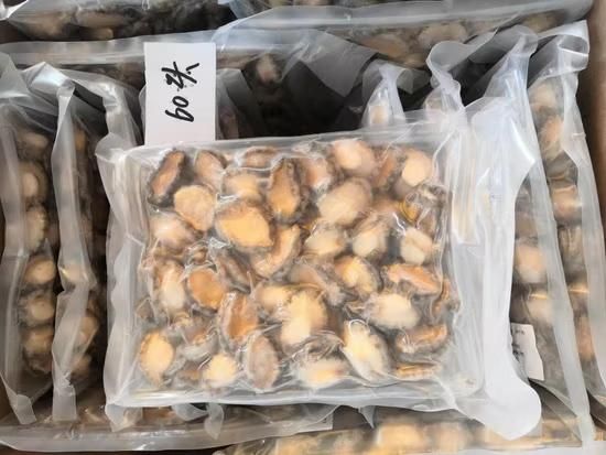 Frozen Abalone Frozen Seafood Wholesale Abalone with Shell Abalone - Image 4