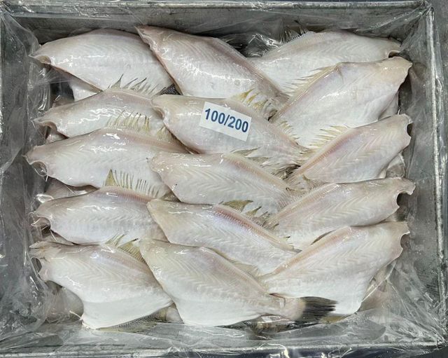 Leather Jacket Fish (Whole,Gutted and Skinless) - Seafood Organic Yes Shelf Life 24 months Price Range $3.3-$6.6 Freshness Level Frozen - Image 2