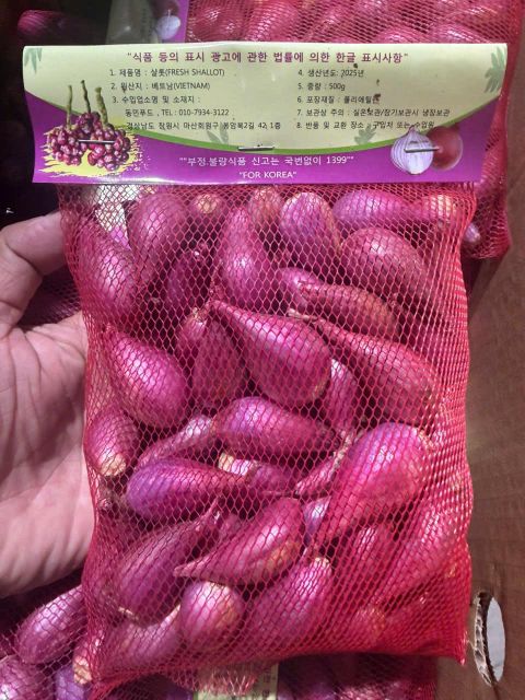 Fresh Shallot Grade A Flavor Rich Texture Firm Port HO Chi Minh Aroma Exceptional Freshness Exceptional Packaging net bag 500gr - Image 3