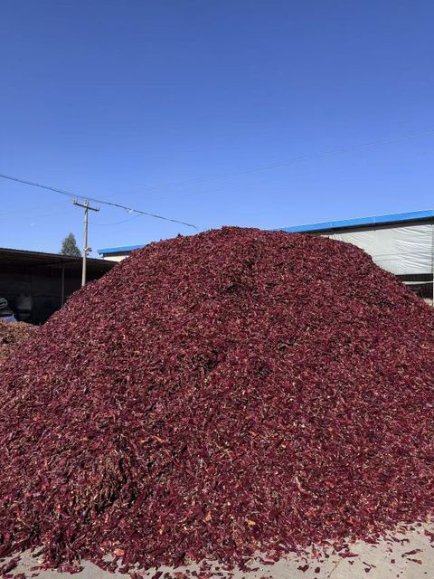 Dried paprika powder 140asta sweet pepper ground 140asta Form Ground Fcl Capacity 24mt Package Size 25kg/bag Pungency Under 700shu - Image 5