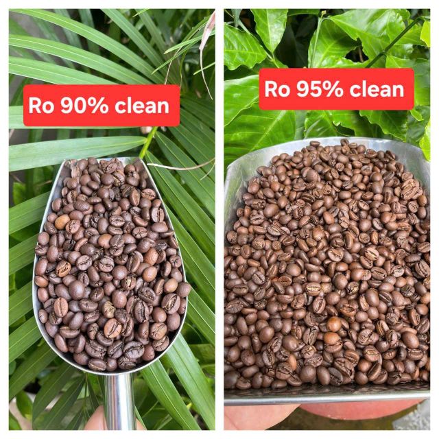 VIETNAM GREEN COFEE BEANS ROBUSTA & ARABICA EXORT QUALITY Organic No, Yes Decaffeinated No Degree of Processing Raw Bean Type Arabica, Robusta - Image 2