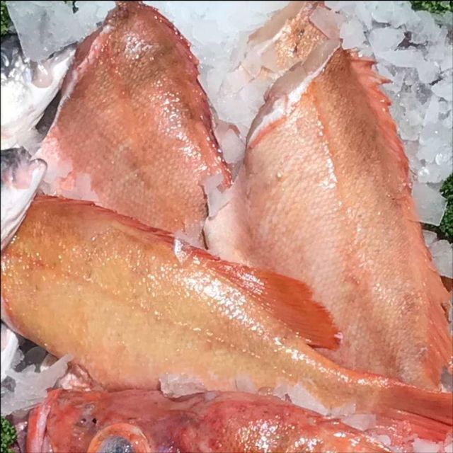 Fresh and Frozen Redfish Red Drum Whole Fillet Steak Gutted Scaled IQF Seafood for Global Export - Image 3