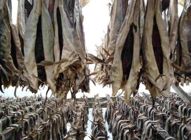 Norwegian stock fish-dried cod Icelandic stock fish heads - Image 6