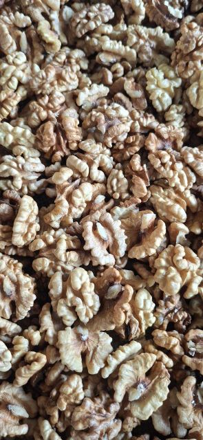 walnuts kernel Type kernel Origin Uzbekistan Product Form Kernel Mix Walnut Weight 5 Kg Manufacturer Uzbekistan Packing Box Weight 6.2 Kg - Image 1