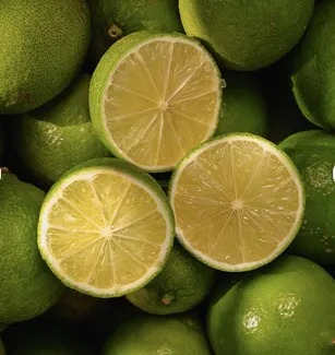 Valencia oranges, fresh lemons, fresh lime. Cheap price Fresh Avocado / Hass Avocado, Fuerte Avocado for sale Free Shipping Worldwide - Image 3