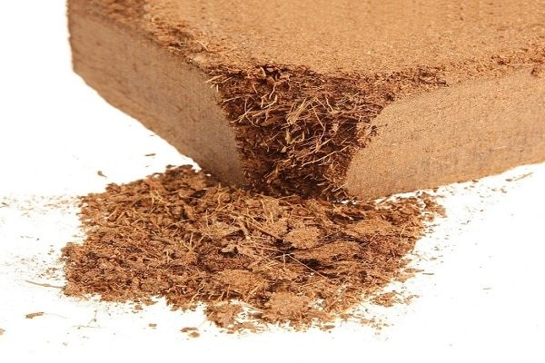Best Sale! Coco Peat Block Eco-Friendly Natural Brown 5.5% PH - Image 5