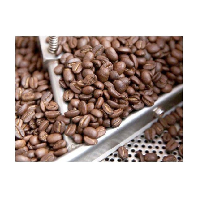 Robusta coffee beans with strong flavor and high caffeine content Organic coffee beans produced without chemicals or artificial additives Whole coffee beans for grinding fresh at home or in cafes Specialty coffee beans for gourmet coffee lovers and baristas - Image 4