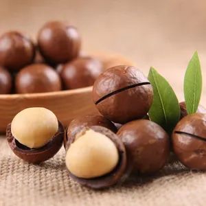 New Crop Yunnan Raw Macadamia Nut in Shell - Image 5