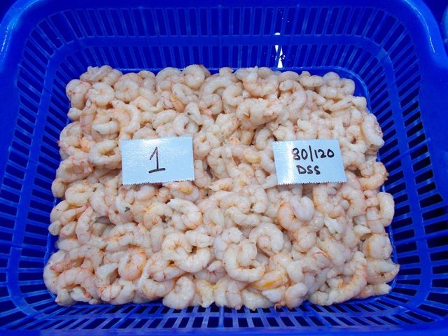 Frozen prawns - Image 3