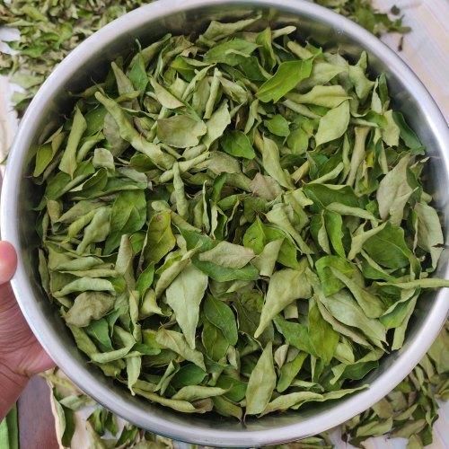 Dehydrated Curry Leaves – Premium Grade | Export Quality Grade PREMIUM Max. Moisture (%) 8 Place of Origin INDIA Color Natural Green Color - Image 3
