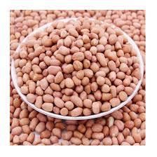 Raw Red Peanut, blanched Peanut Kernels,Bold Peanuts Blanched Peanuts Java Peanuts/ Raw Peanuts Kernel / Raw peanut insh - Image 2