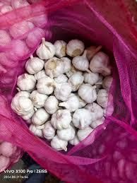 Fresh Organic Garlic Size 5.0cm Style Fresh Type Garlic Weight 0.2 Kg Ingredients - Image 2