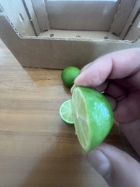Persian lime - Image 3