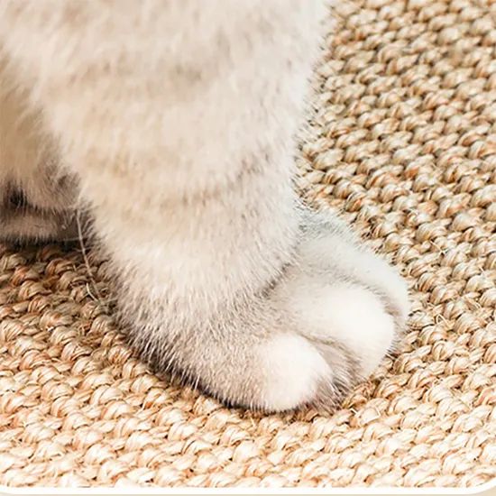 Custom Rug High Quality Custom Rug Any Shape Round Braided Art Rugs - Image 2