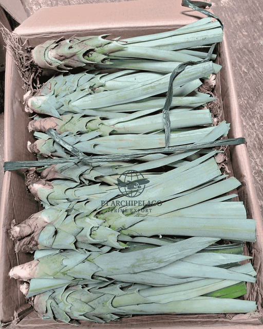 pineapple leaf / pineapple leaves - Image 4