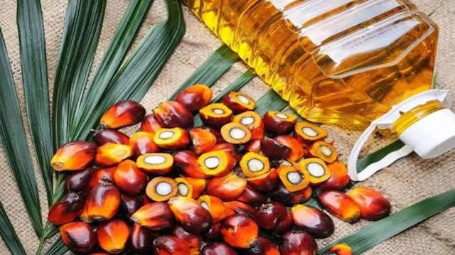Wholesale palm oil bulk supply cheap price top grade natural palm oil - Image 2
