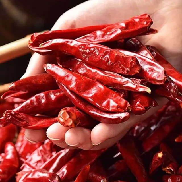Dried Red Chillies Food Grade Whole Chili for Cooking Seasoning and Industrial Export Supply - Image 2