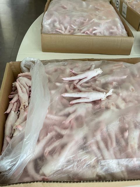 Frozen Premium Grade a Halal Chicken Feet & Paws Vacuum Pack Odor Nil Skin Color Off Ammonia Burn Nil Certifications Sgs Testing - Image 4