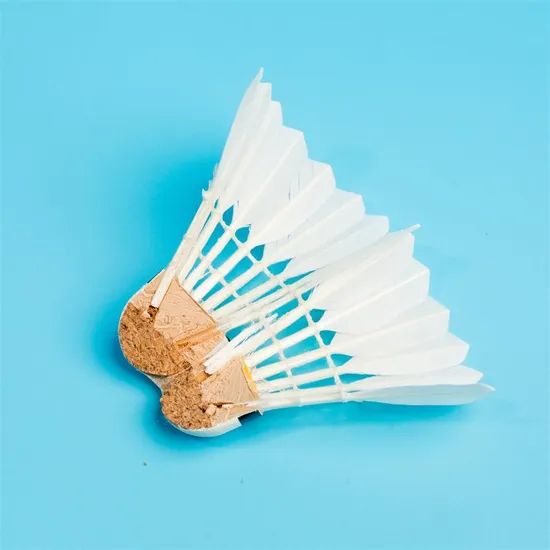Cheap Factory Price Goose Feather Badminton Shuttlecock Origin China MOQ 50 Dozen Trademark TCX OEM Customized Durability a - Image 5