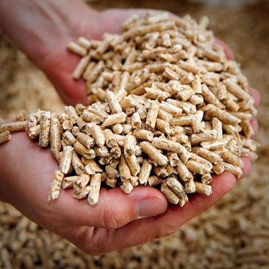 Premium Poplar Wood Pellets 6mm 8mm Low Ash / High Calorific Value Biomass Pellets for Efficient Home Heating Systems - Image 3